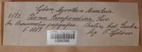 Image Associated With the Occurence